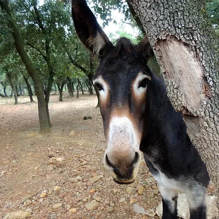 Chateau De Nocleg ze śniadaniem